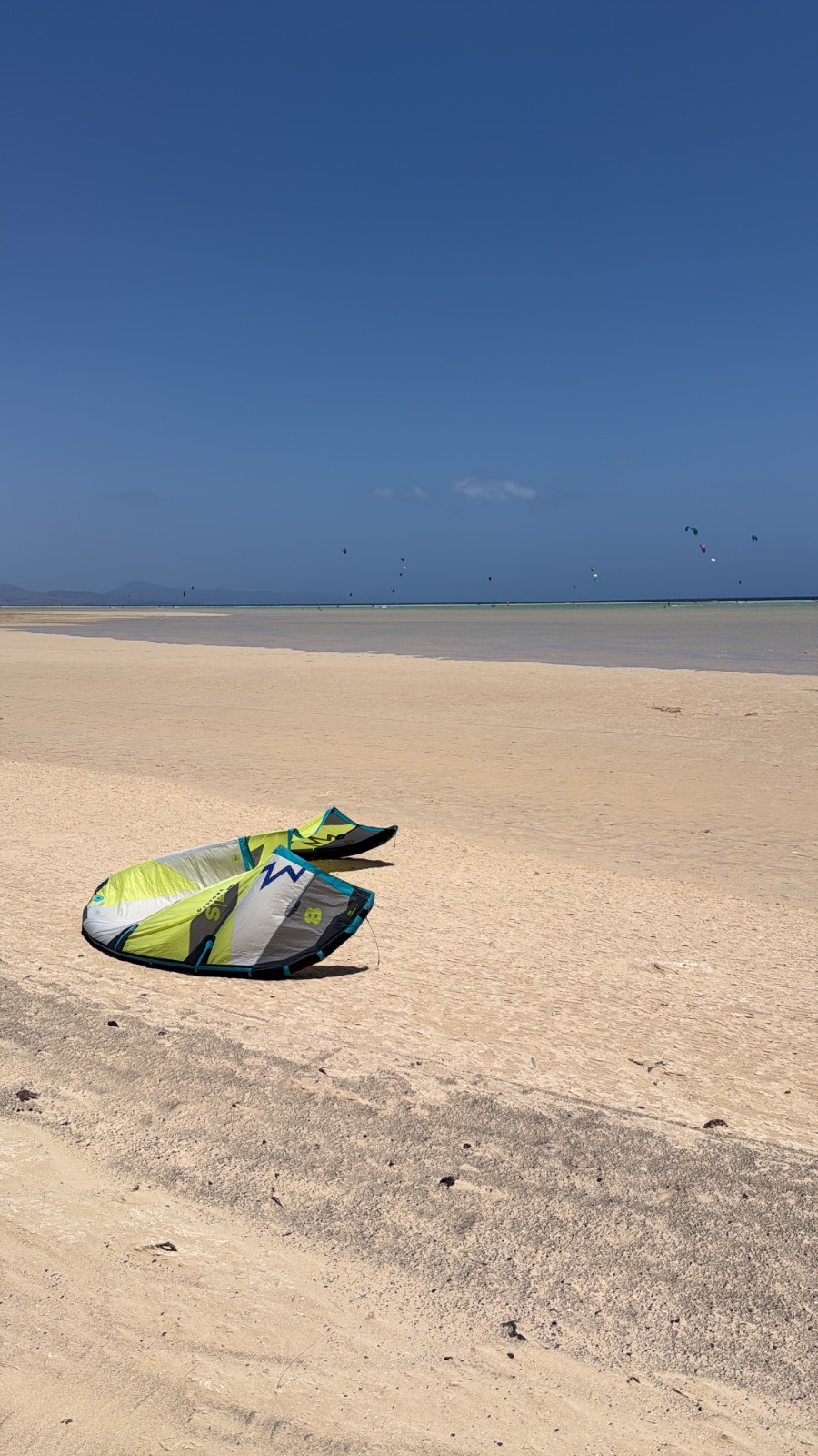 Vela Kite Duotone REBEL SLS 2024 8mt in perfette condizioni